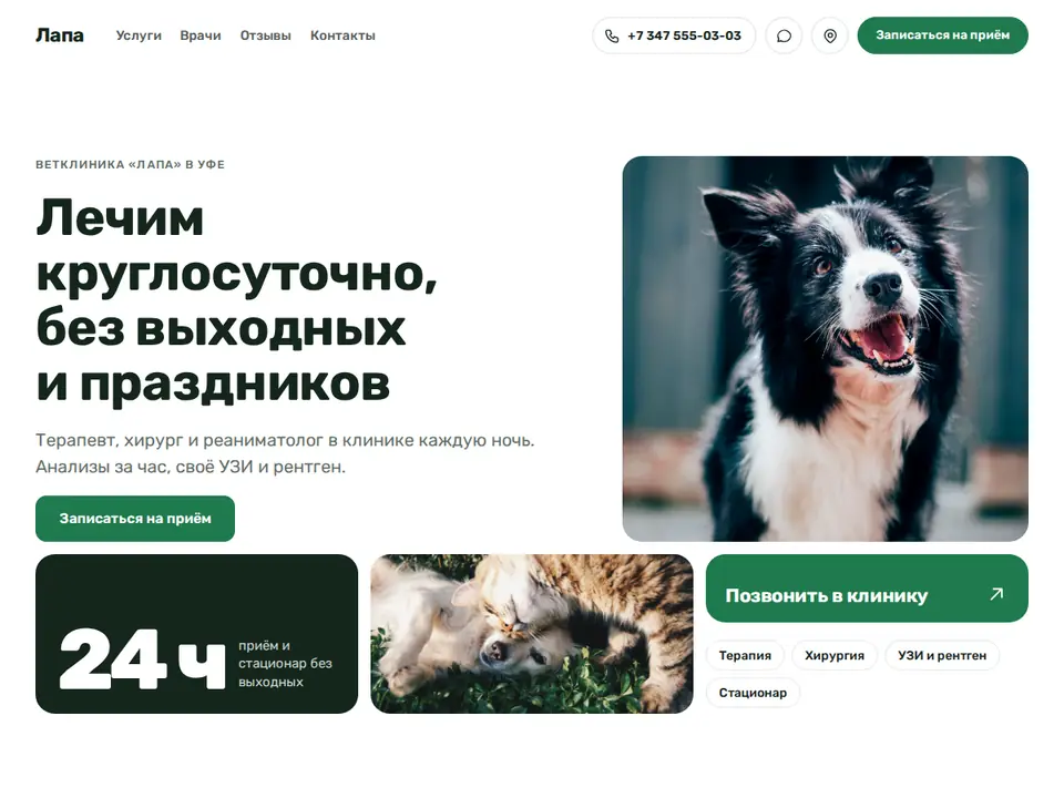 Шаблон Woove Select: Ветеринарная клиника