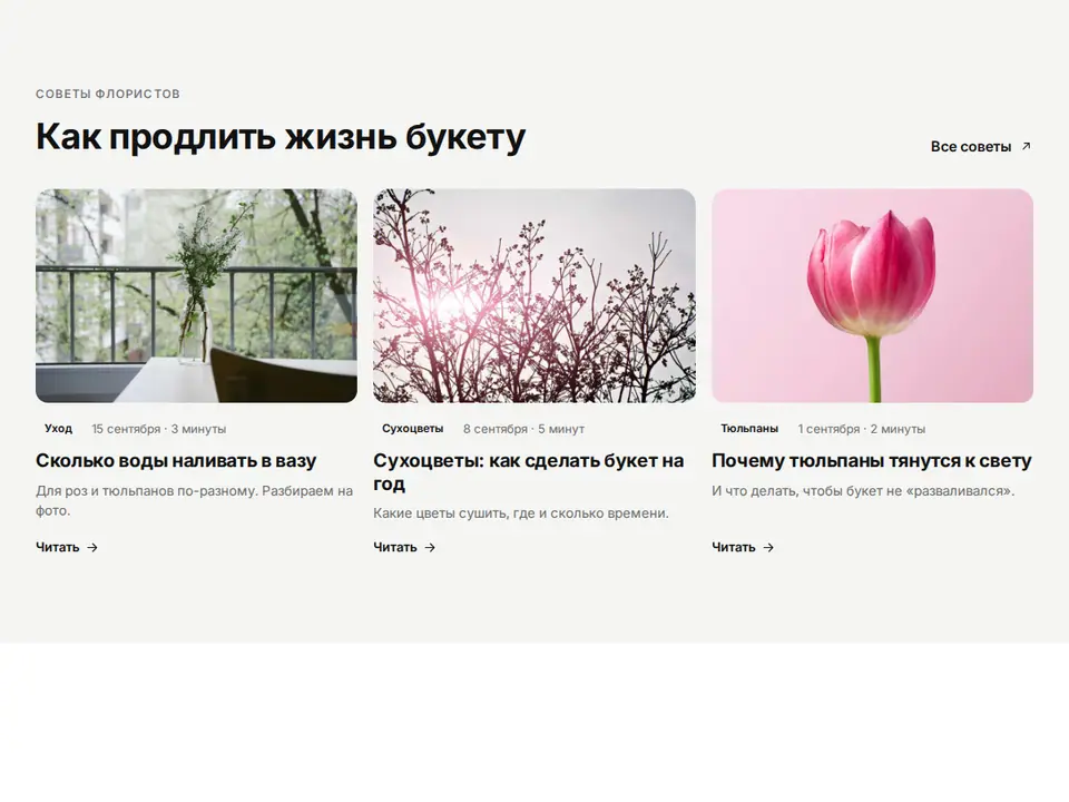 Блок Woove Select «Статьи без подложки»