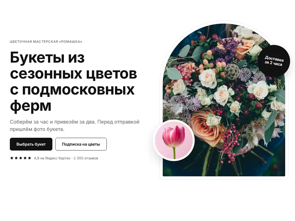 Блок Woove Select «Фото в арке»