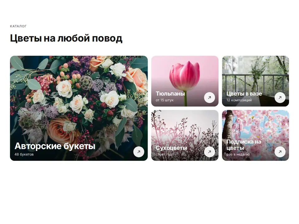 Блок Woove Select «Разделы каталога»